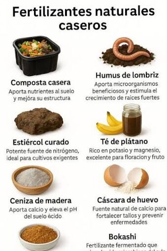 7 recetas de fertilizantes naturales para tus plantas