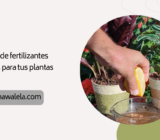 7 recetas de fertilizantes naturales para tus plantas