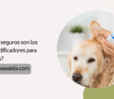 ¿Qué tan seguros son los deshumidificadores para mascotas?