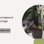 Consejos para mejorar el aspecto de tu hogar