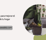Consejos para mejorar el aspecto de tu hogar